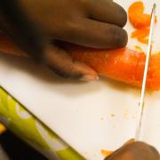 Découverte de la carotte